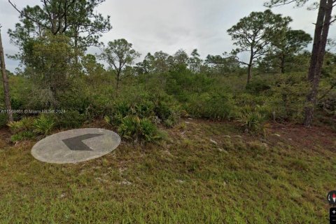 Land in Sebring, Florida № 1692564 - photo 2