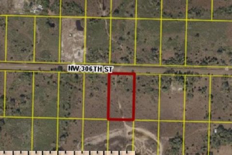 Terreno en Okeechobee, Florida № 2218624