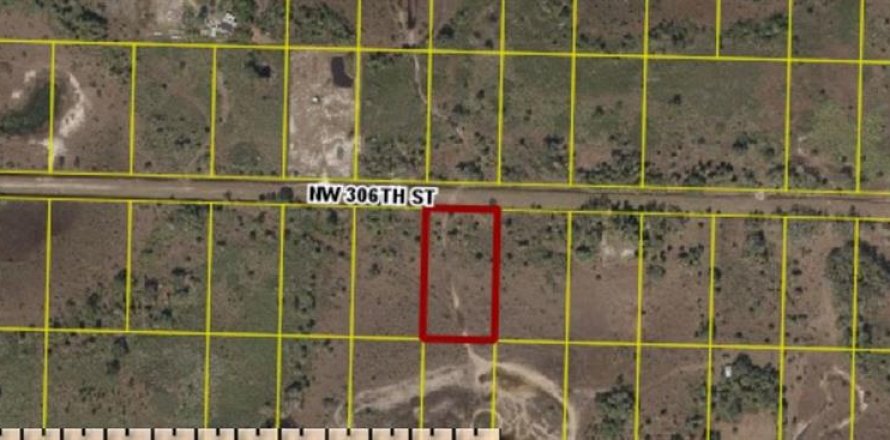 Terreno en Okeechobee, Florida № 2218624