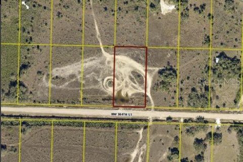 Terreno en venta en Okeechobee, Florida № 2218624 - foto 6