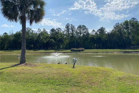 Land in Silver Springs Shores, Florida № 1675560 - photo 14