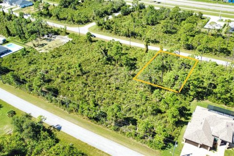 Land in Port Charlotte, Florida № 2165784 - photo 18