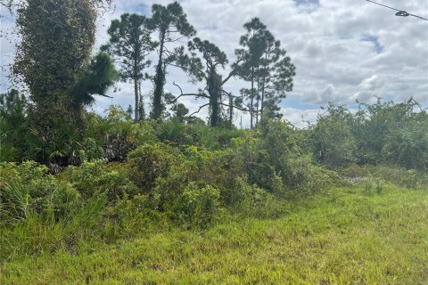 Land in Port Charlotte, Florida № 2165784