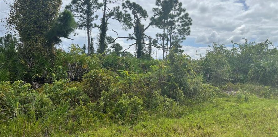 Land in Port Charlotte, Florida № 2165784