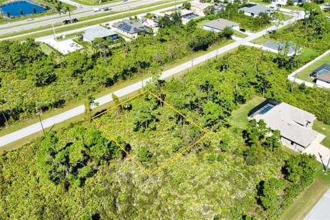 Land in Port Charlotte, Florida № 2165784 - photo 17