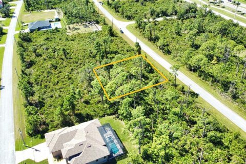 Land in Port Charlotte, Florida № 2165784 - photo 4