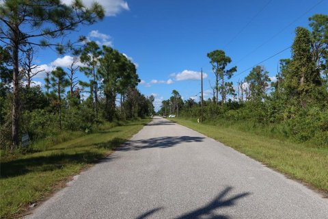 Land in Port Charlotte, Florida № 2165784 - photo 2