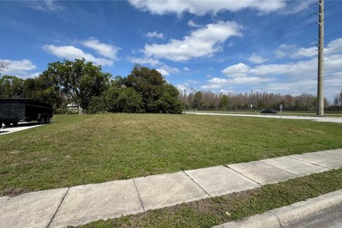 Land in Kissimmee, Florida № 1508641 - photo 1