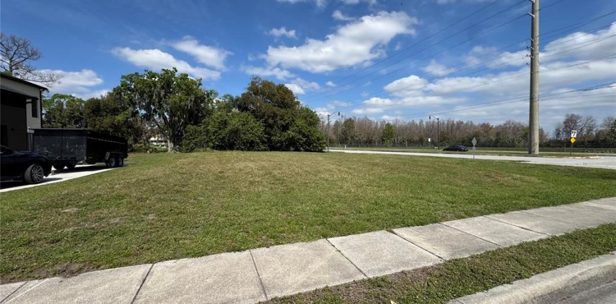 Land in Kissimmee, Florida № 1508641