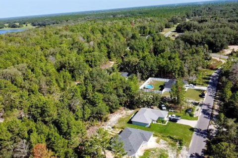 Terreno en venta en Ocklawaha, Florida № 1907901 - foto 7