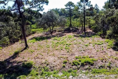 Terreno en venta en Ocklawaha, Florida № 1907901 - foto 3