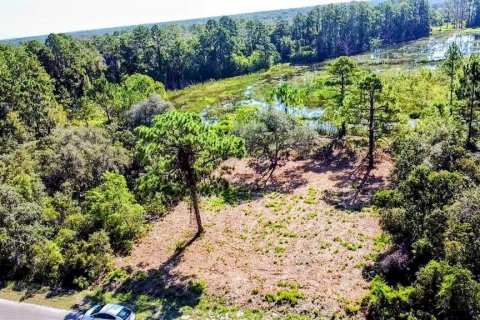 Terreno en venta en Ocklawaha, Florida № 1907901 - foto 4