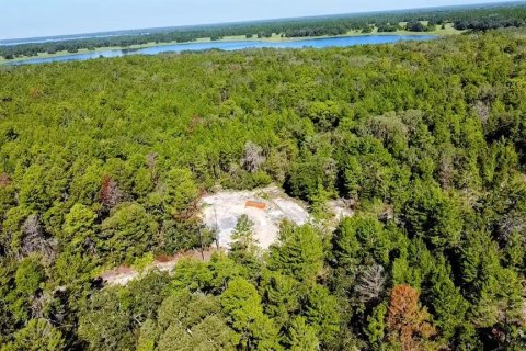 Terreno en venta en Ocklawaha, Florida № 1907901 - foto 8