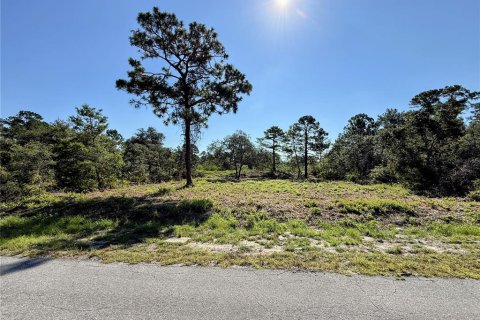 Terreno en venta en Ocklawaha, Florida № 1907901 - foto 1