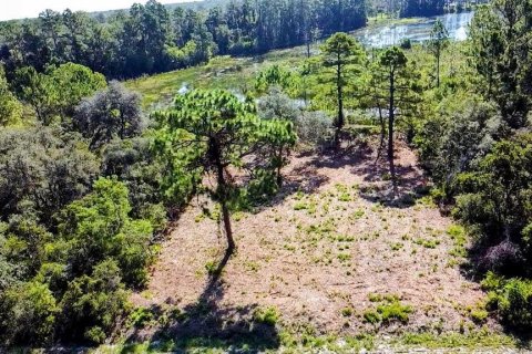 Terreno en venta en Ocklawaha, Florida № 1907901 - foto 2
