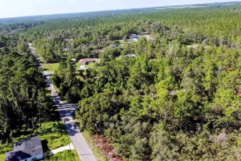 Terreno en venta en Ocklawaha, Florida № 1907901 - foto 6