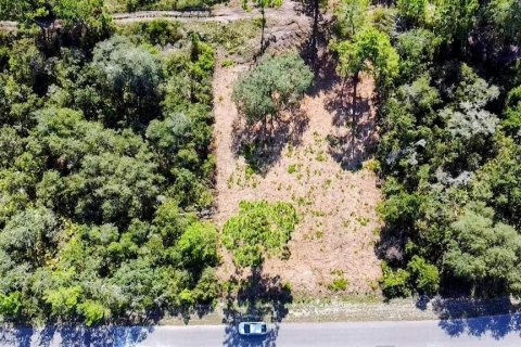 Terreno en venta en Ocklawaha, Florida № 1907901 - foto 5