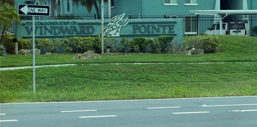 Studio à Condo à Saint Petersburg, Floride  № 2406484