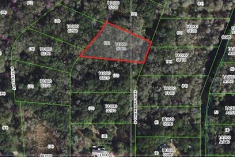 Terreno en venta en Inverness, Florida № 2159637 - foto 4