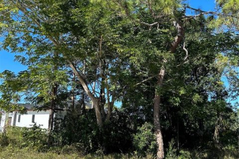 Купить земельный участок в Майами-Дейд, Флорида № 1957302 - фото 3