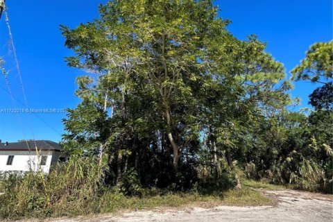 Купить земельный участок в Майами-Дейд, Флорида № 1957302 - фото 2