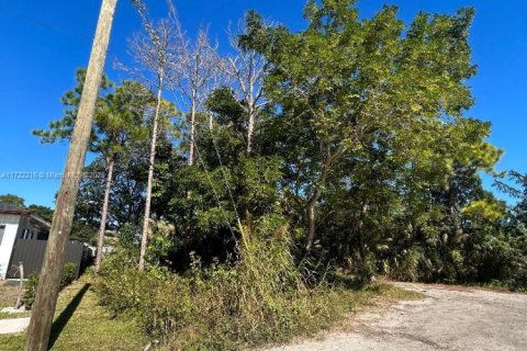 Купить земельный участок в Майами-Дейд, Флорида № 1957302 - фото 5