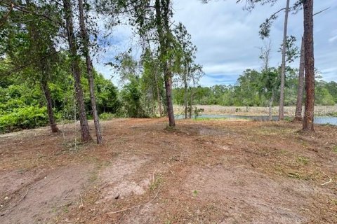 Land in Ocala, Florida № 2164121 - photo 7