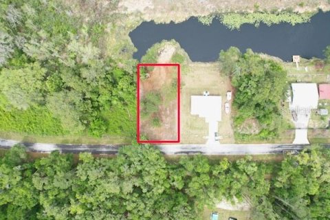 Land in Ocala, Florida № 2164121 - photo 2