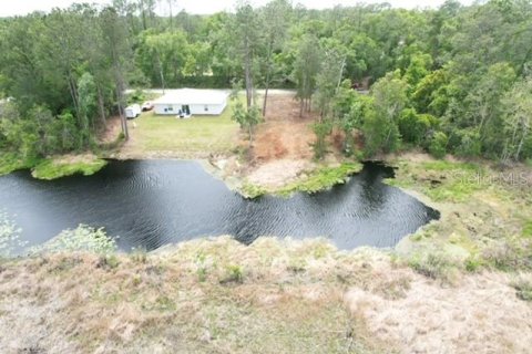 Land in Ocala, Florida № 2164121 - photo 9