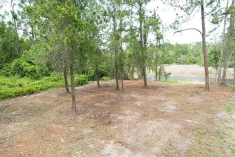 Land in Ocala, Florida № 2164121 - photo 4
