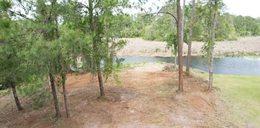 Land in Ocala, Florida № 2164121