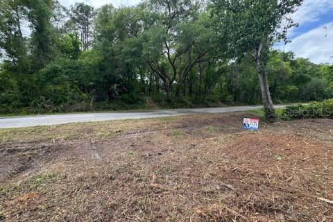 Land in Ocala, Florida № 2164121 - photo 5