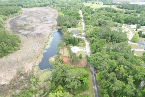 Land in Ocala, Florida № 2164121 - photo 10