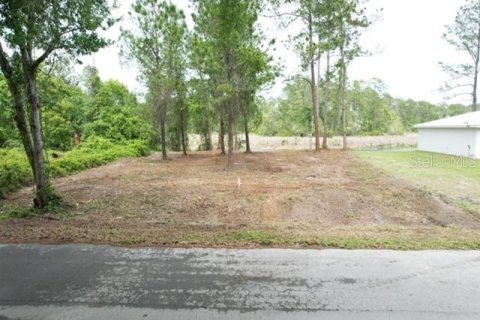 Land in Ocala, Florida № 2164121 - photo 3