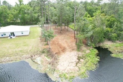 Land in Ocala, Florida № 2164121 - photo 11
