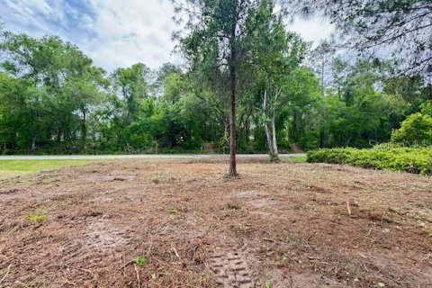 Land in Ocala, Florida № 2164121 - photo 8