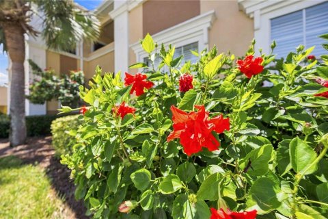 Copropriété à louer à Sarasota, Floride: 1 chambre, 76.37 m2 № 2408347 - photo 2