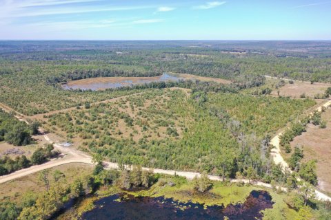 Land in Chipley, Florida № 558872 - photo 1