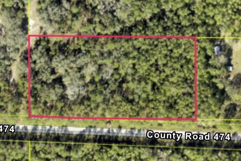 Land in Clermont, Florida № 2106663