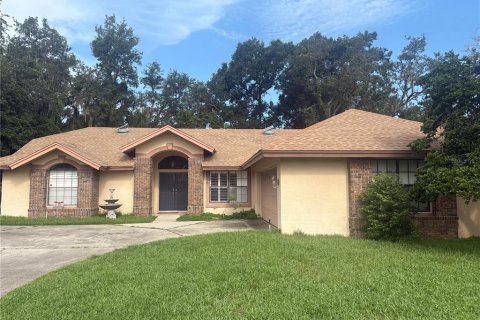 House in Valrico, Florida 3 bedrooms, 197.7 sq.m. № 1908693 - photo 1