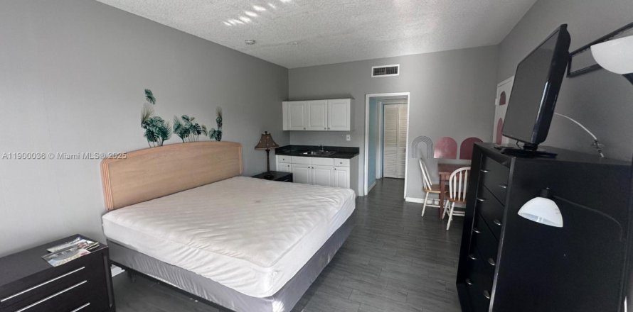 Studio in the Condo in Hallandale Beach, Florida  № 1952632
