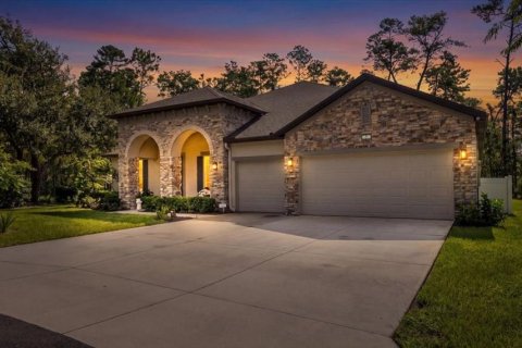House in Homosassa, Florida 4 bedrooms, 279.73 sq.m. № 2314939