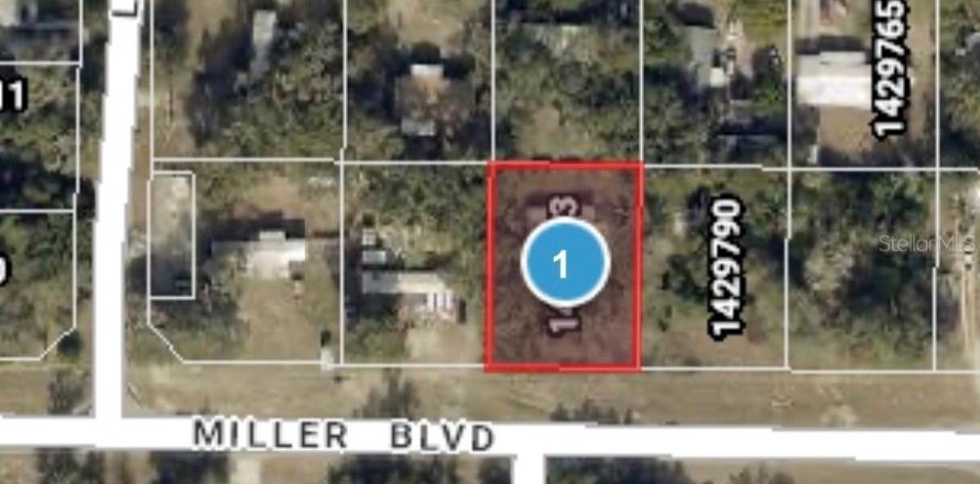 Terreno en Fruitland Park, Florida № 2285218