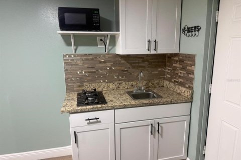 Villa ou maison à vendre à Tampa, Floride: 4 chambres, 95.5 m2 № 2210263 - photo 5