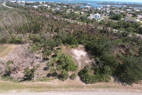 Land in Placida, Florida № 1757792 - photo 7