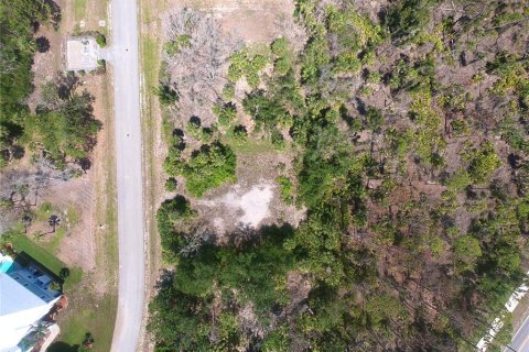Land in Placida, Florida № 1757792 - photo 9