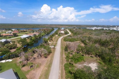 Land in Placida, Florida № 1757792 - photo 5
