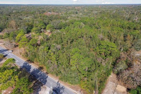 Terrain à vendre à Spring Hill, Floride № 1893834 - photo 5