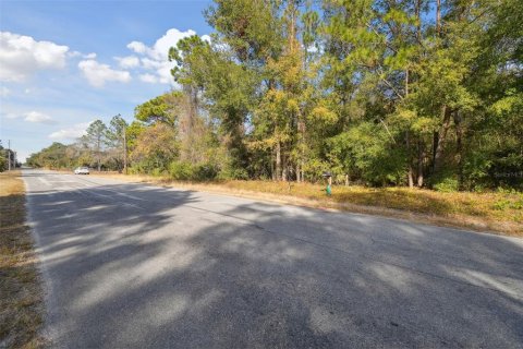 Terrain à vendre à Spring Hill, Floride № 1893834 - photo 22