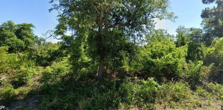 Land in Port Charlotte, Florida № 2222131